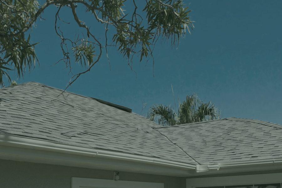Roof algae treatment — before cleaning