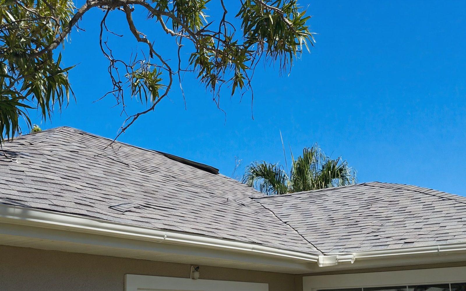 Florida home roof after algae soft-wash treatment